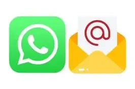 Whatsapp or Email