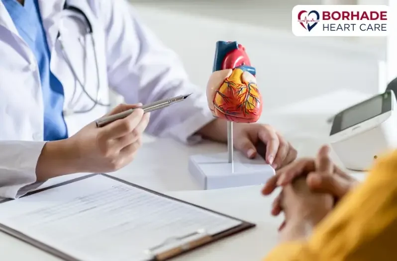 Heart specialist doing consultation.